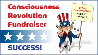 Consciousness Revolution