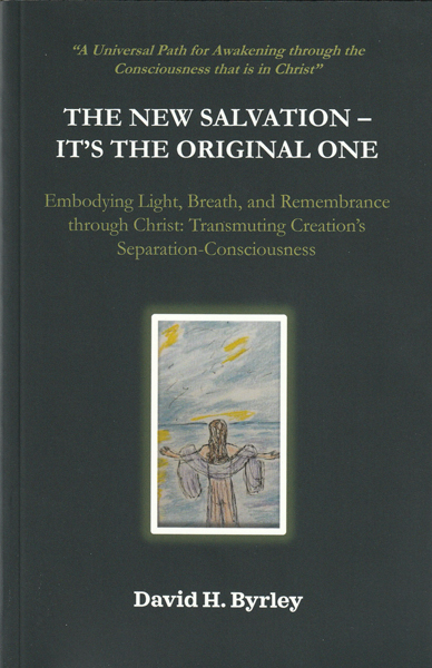 The New Salvation book cover